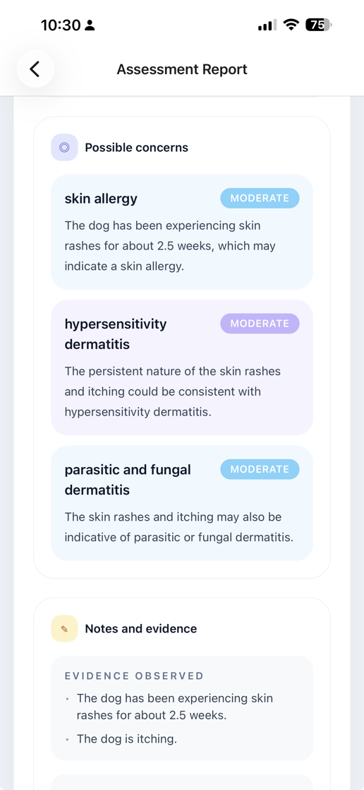 PawSight assessment report showing possible concerns and evidence